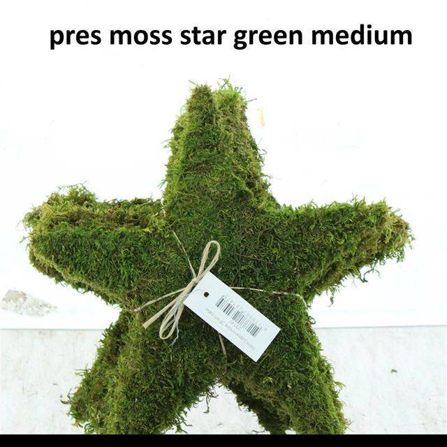 Мох Овериг Крашеный (краш. ), шт.