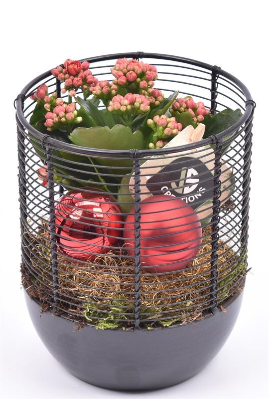 Metaal gaas planter zwart 12cm, D 12 cm Metaal gaas planter zwart 12cm, D 12 cm