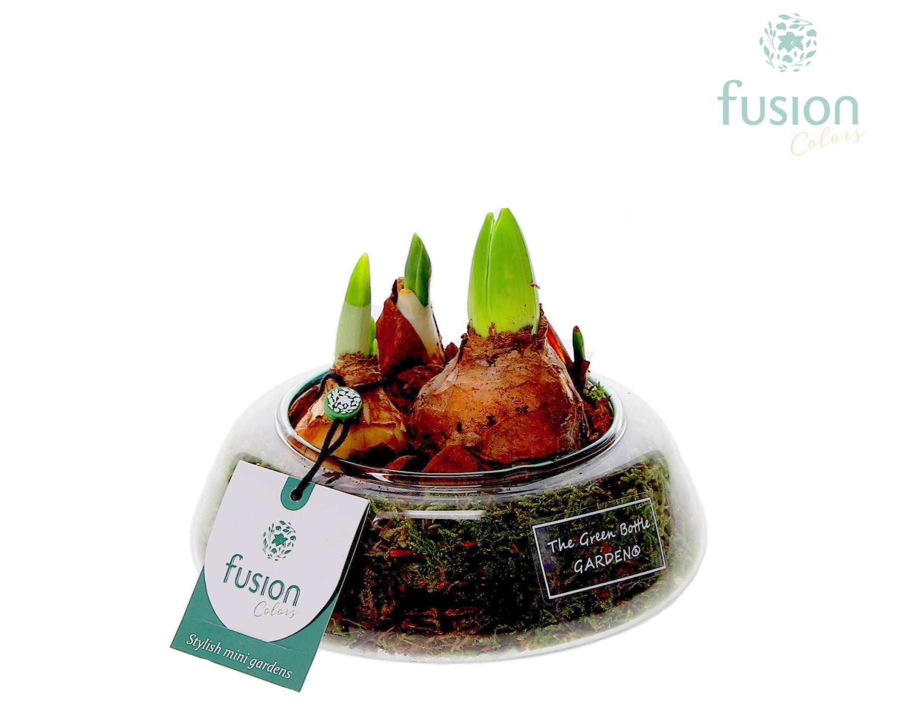 Green Bottle Christel Small met Bollen mix, D 15