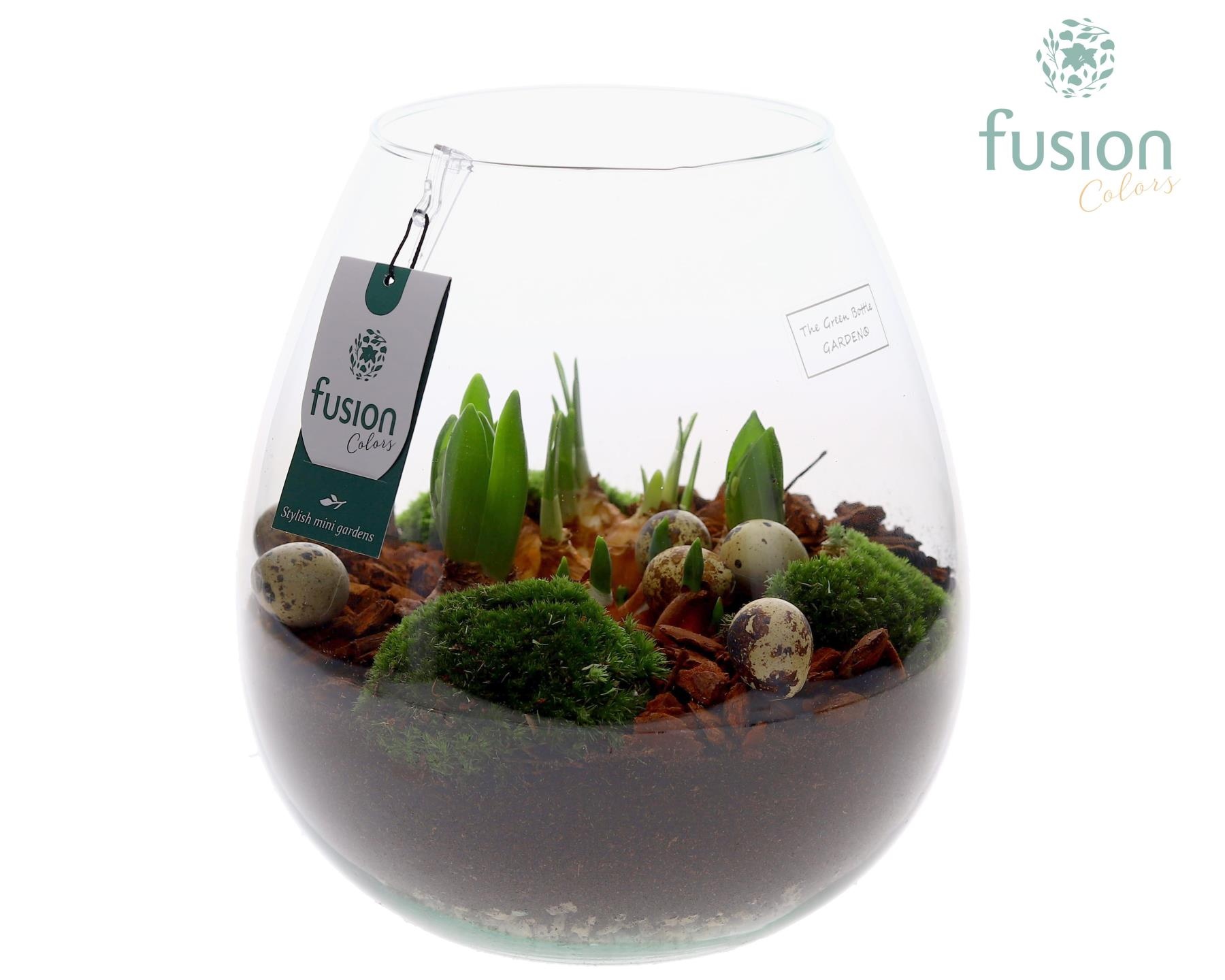 Green Bottle Abby Large Pasen met Bollen mix, D 24
