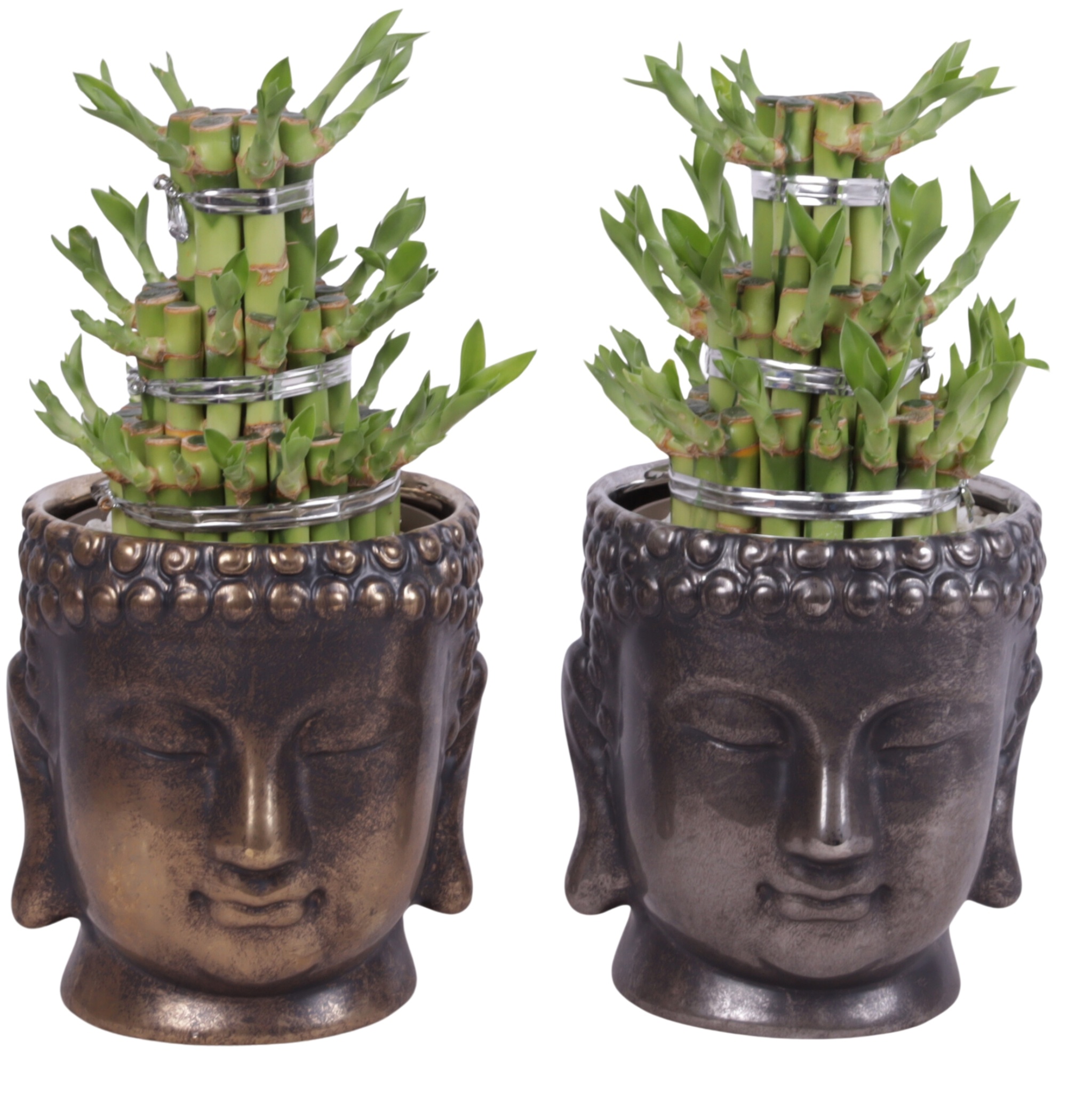 Lucky Bamboo Shape Round 3B in Ceramic Buddha Gold/Silver Ø15cm, D 15