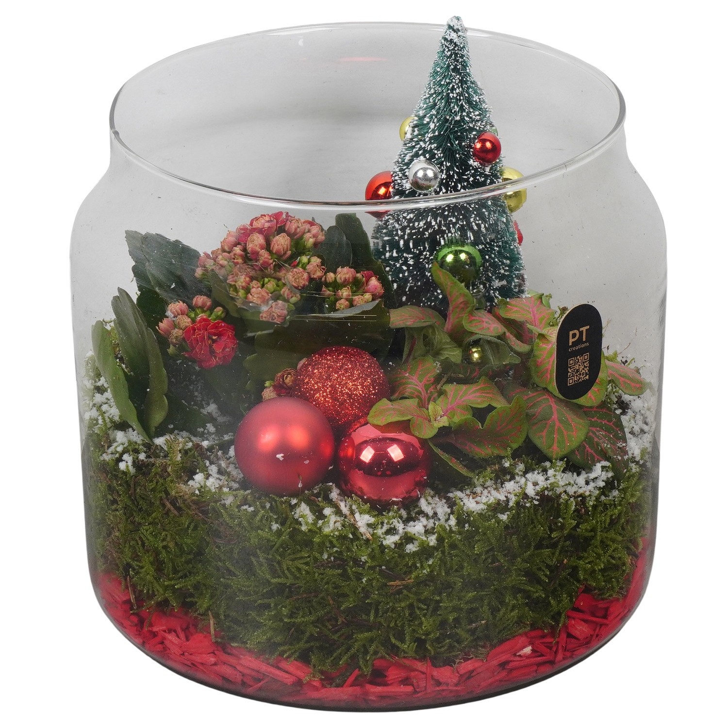 PTCHR9520 Arrangement Christmas Red in glazen vaas, D 19