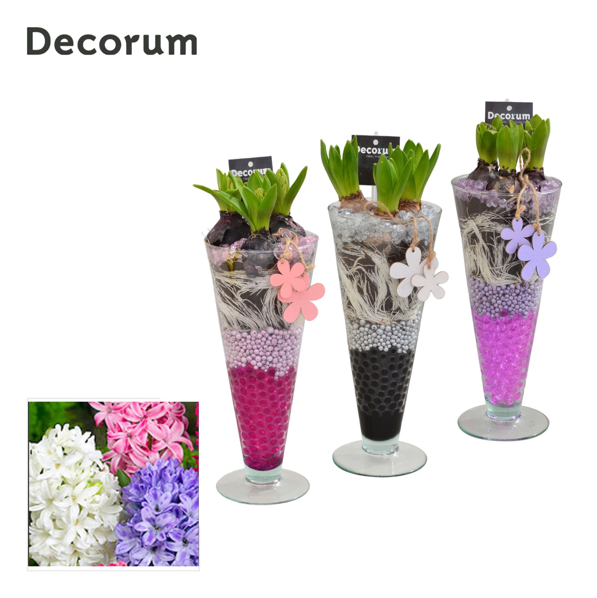 Hyacint Lincoln HL15013 [LOVELY COLORS], D 12