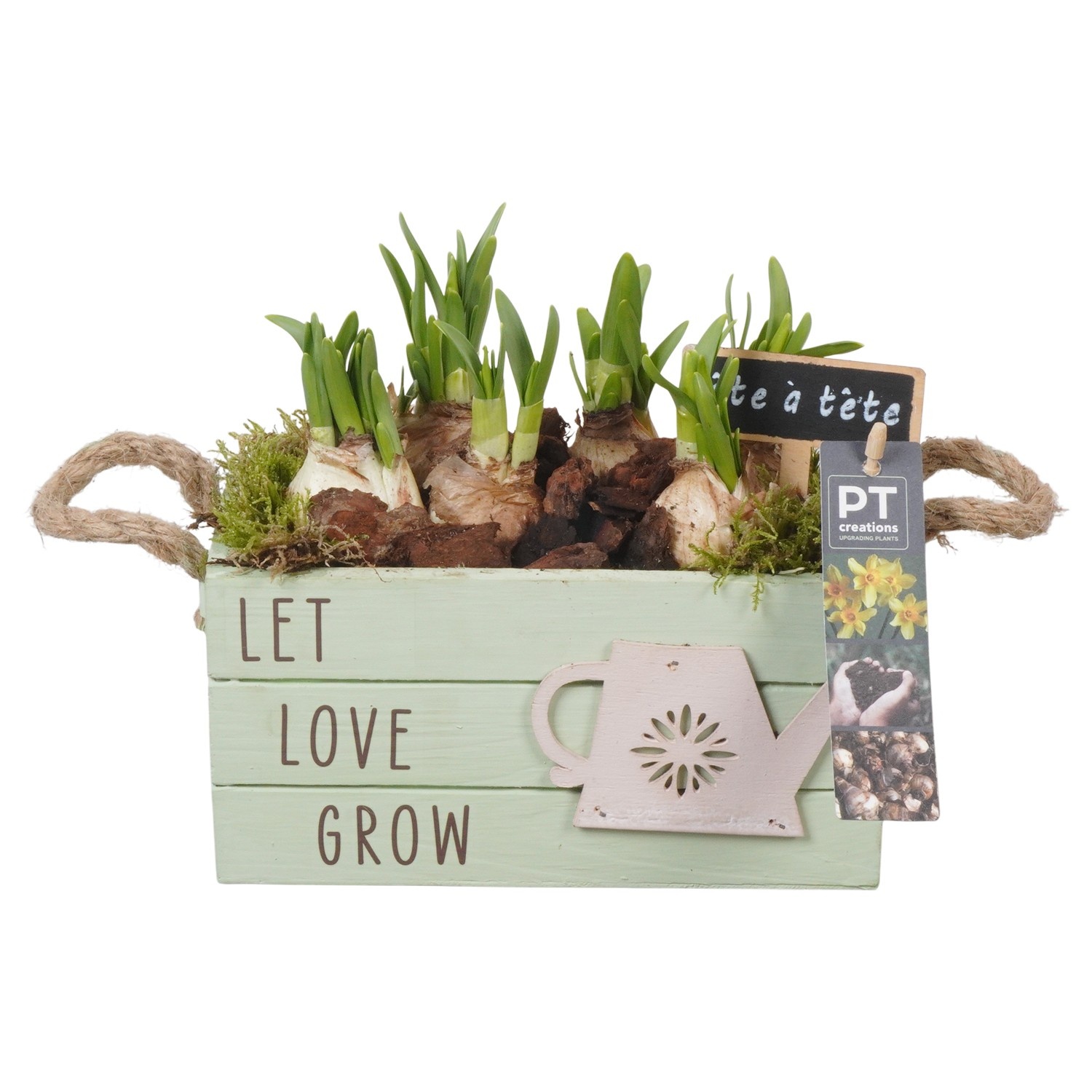 PTN8682 Arrangement Narcissus in houten bak, D 20