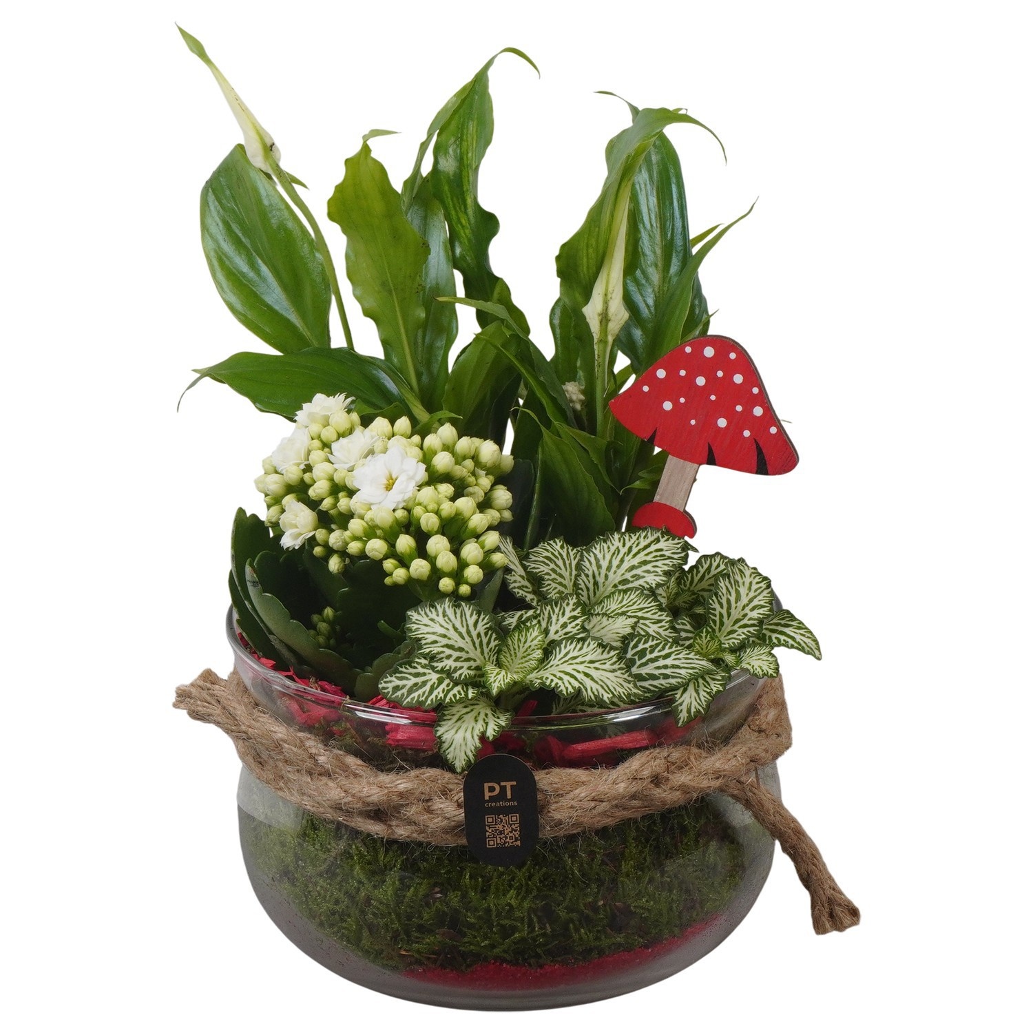 PTHG8226 Arrangement Autumn Glass in glas schaal, D 16