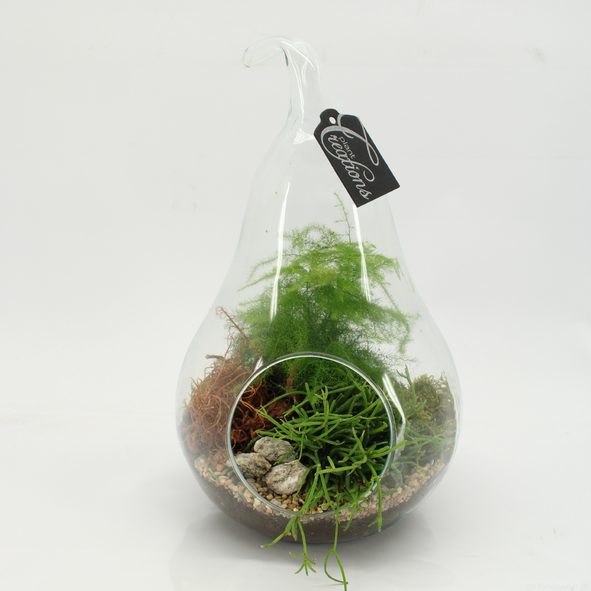 GRCR-2606 Green Essentials terrarium, D 18