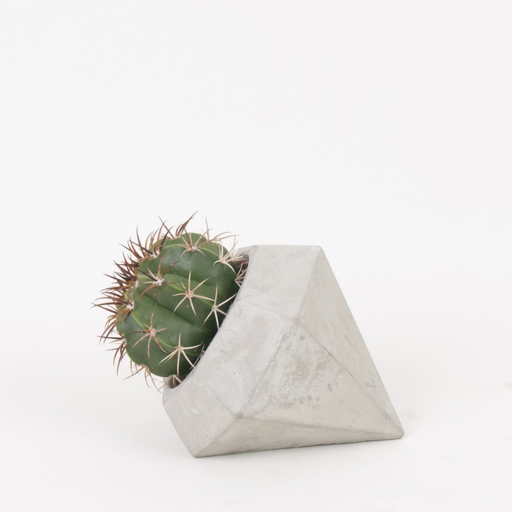 Diamond with Cactus mix, D 9