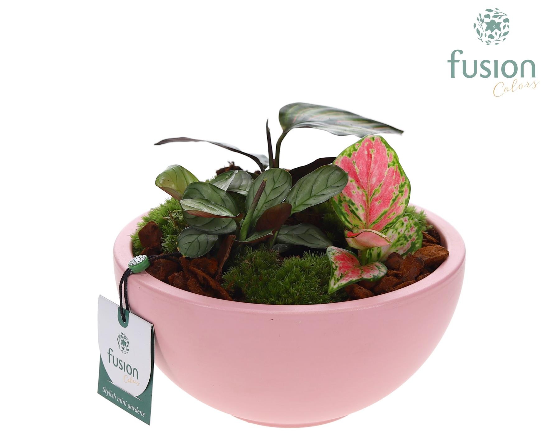 Schaal keramiek Moon Medium licht roze met groene planten, D 18