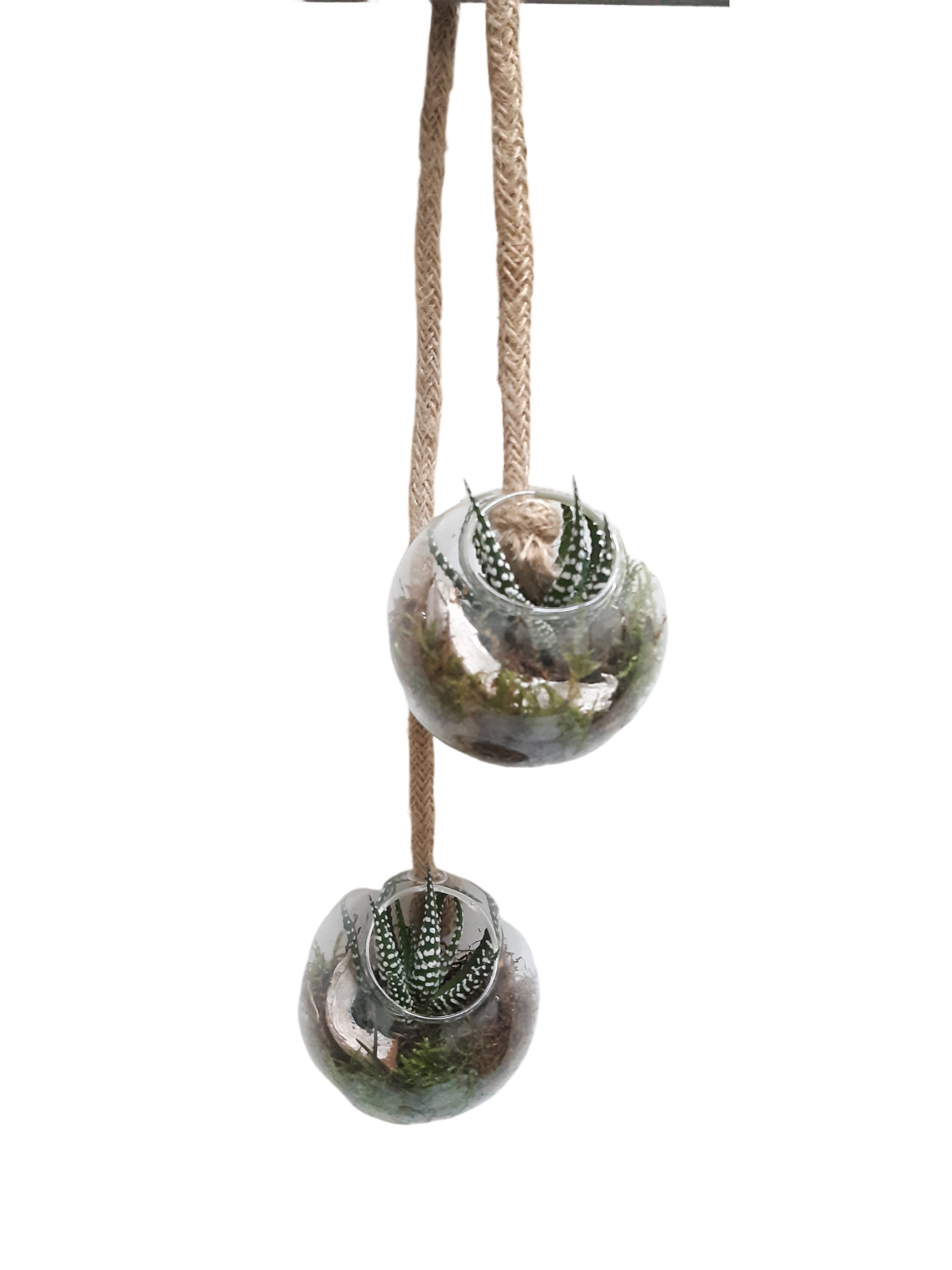 GBD9HBB Glasbowl double on Garland, D 8