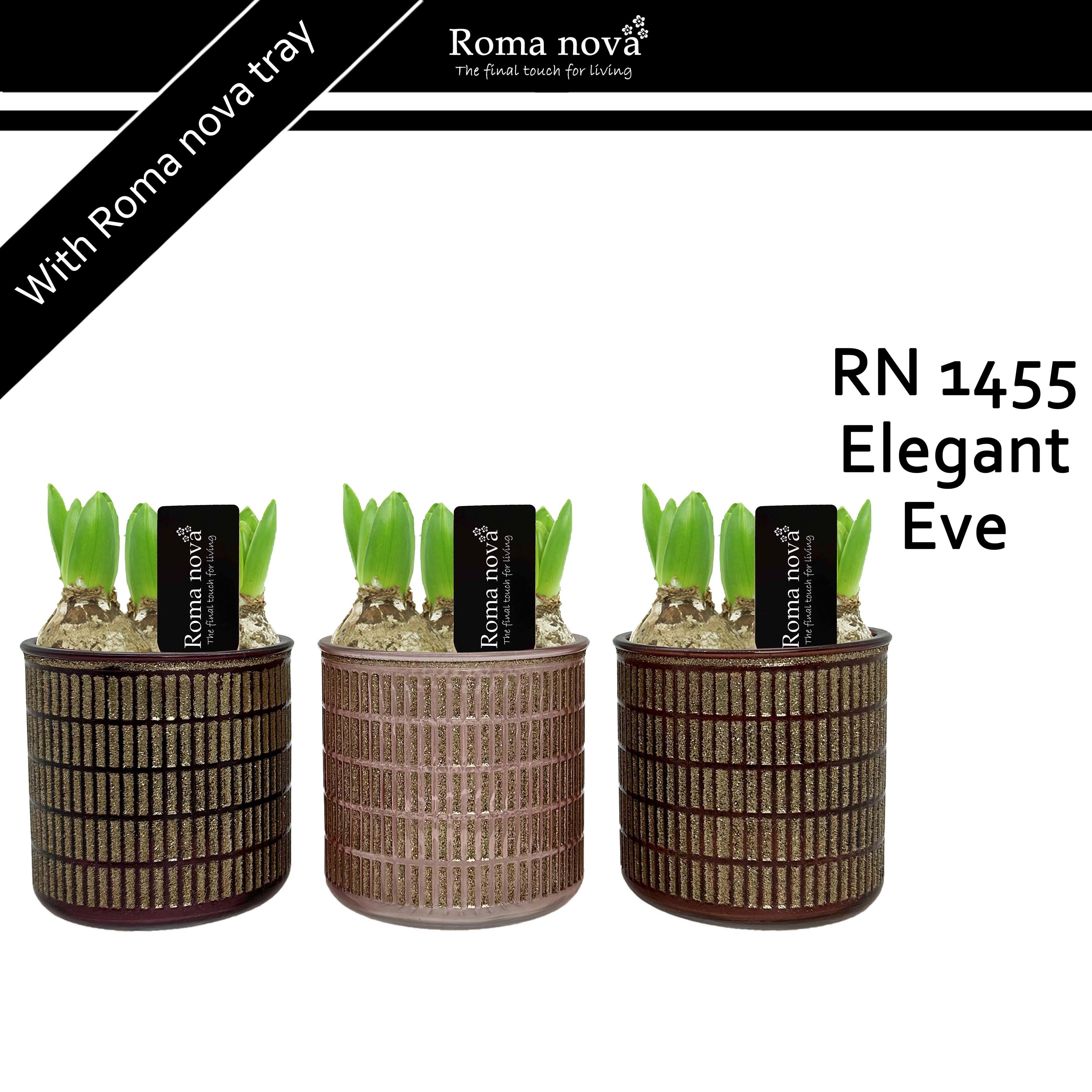 1455 - Elegant Eve ES12 (Hyacint), D 12 cm