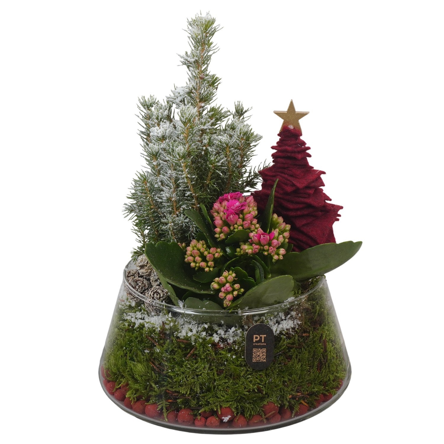 PTCHBO4110 Arrangement Christmas Bordeaux in glas schaal, D 18
