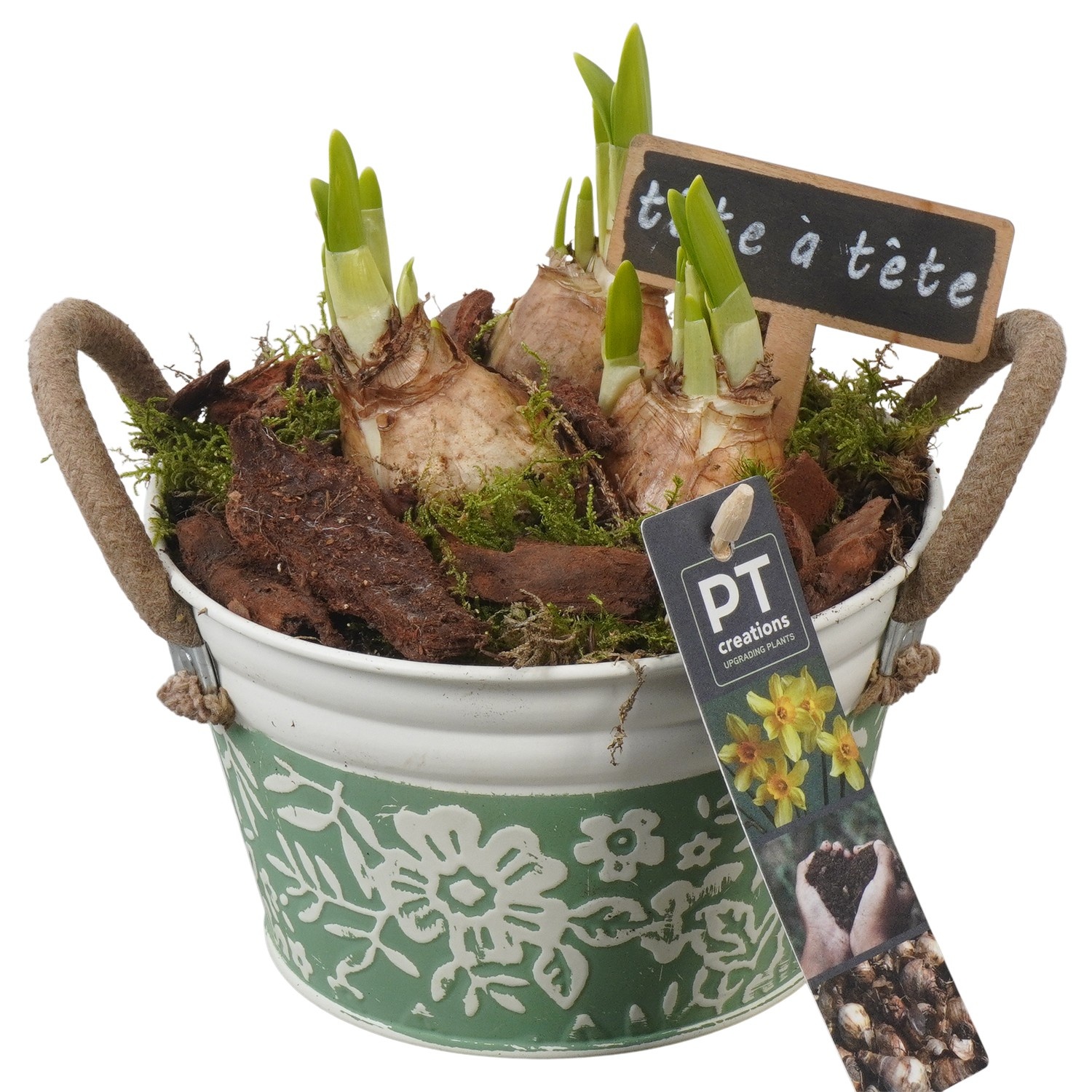 PTN8568 Arrangement Narcissus in zink pot, D 15