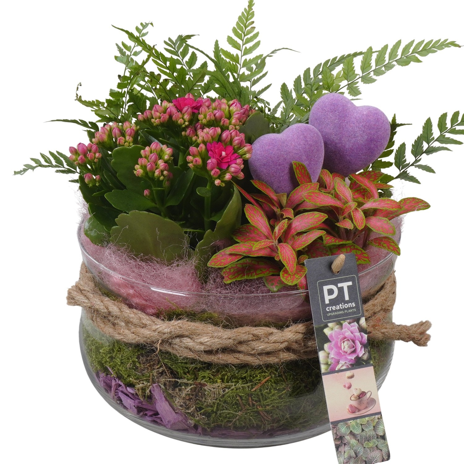 PTVMG4906 Arrangement Valentines-Mothersday in glas schaal, D 19