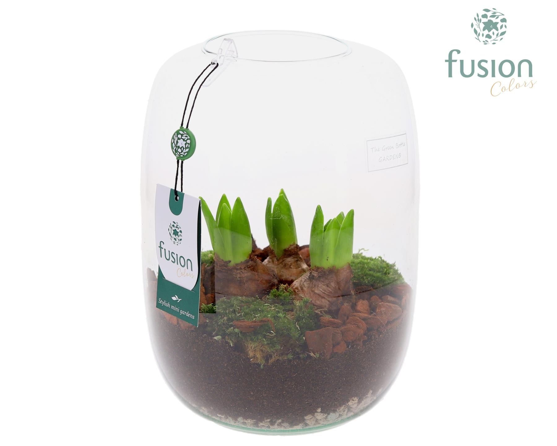 Green Bottle Isabella Large met Hyacinten, D 19