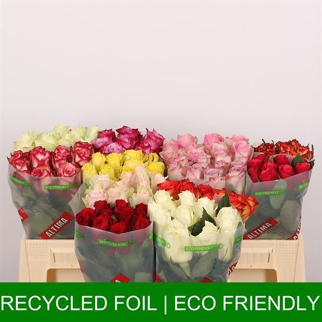 Роза од. Микс в баке 40, шт.