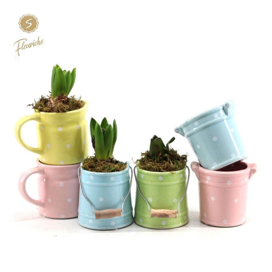 (1404) Hyacint Spring Mix Mos, D 10 cm