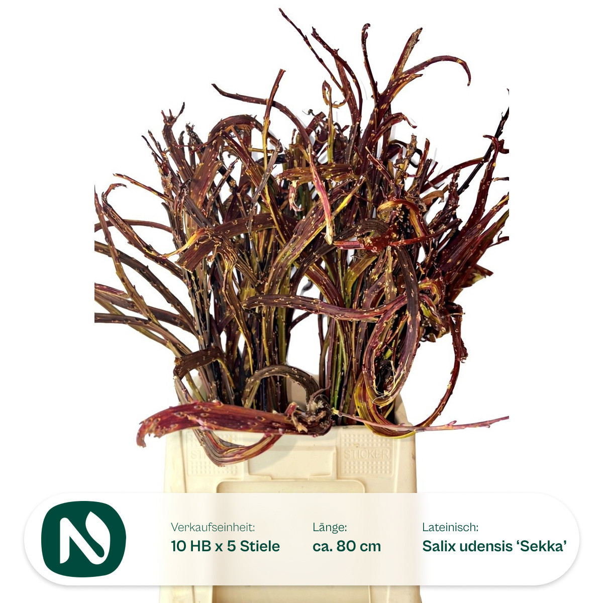 Саликс Секка Бэндвилг 80, шт.