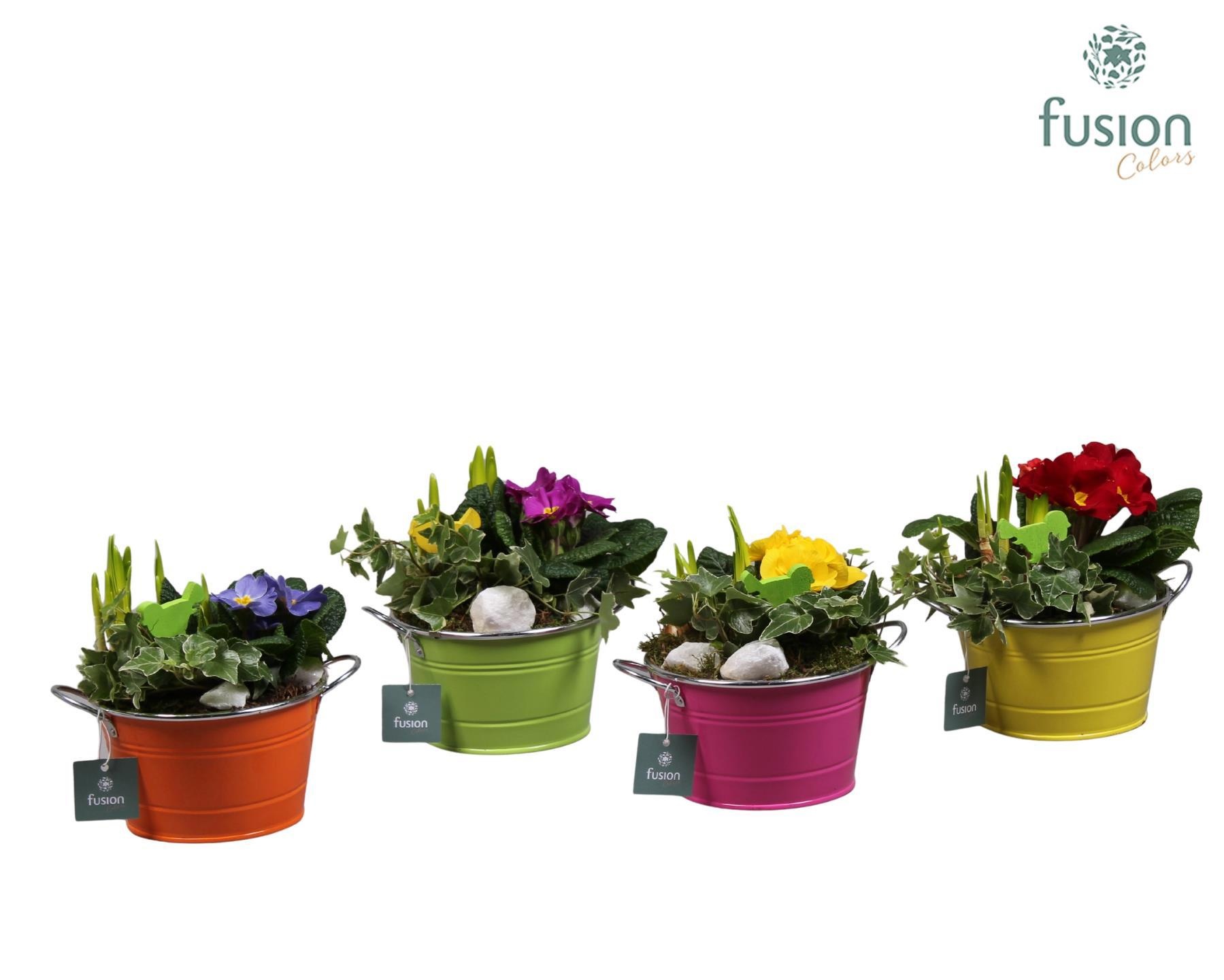 Schaal zink rond Voorjaar met Arrangement verschillende kleuren, D 16