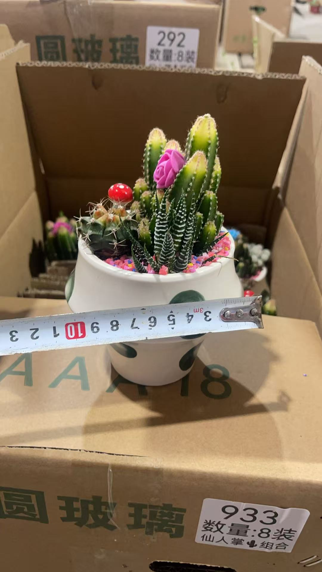 933 Кактус 10 15