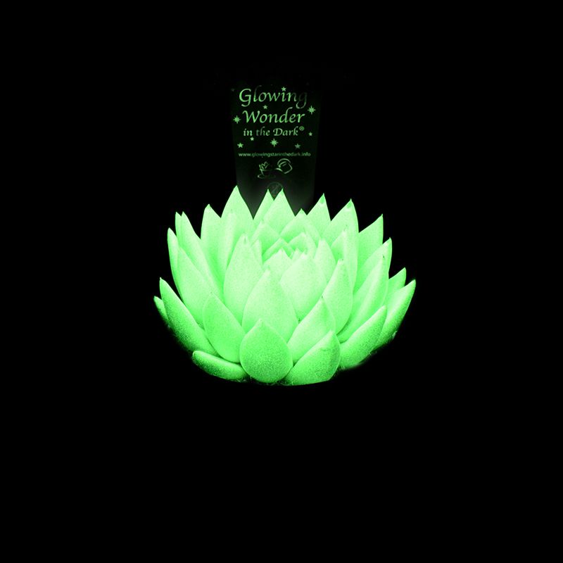 Glowing Star in the Dark - without potcover, D 10,5