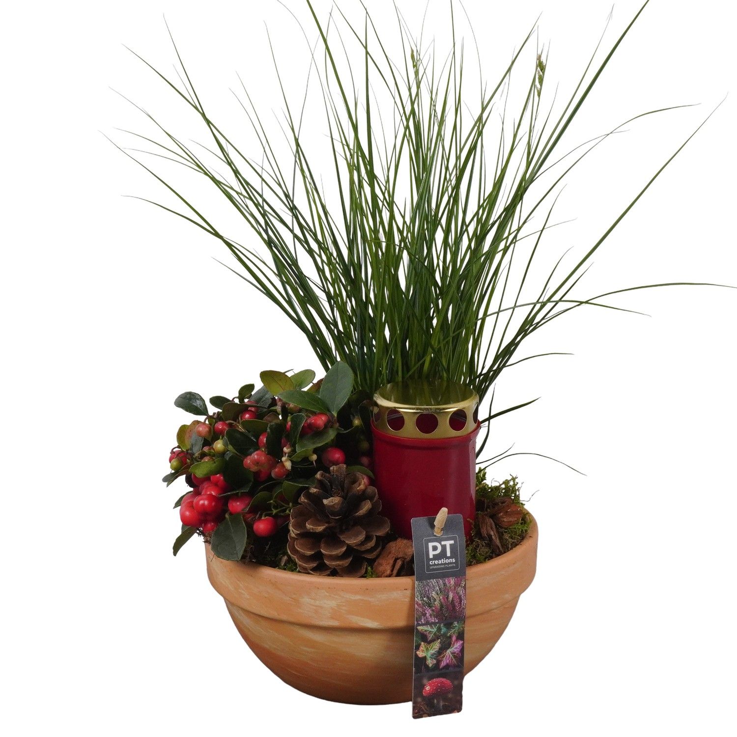 PTAH8632 Arrangement Allerheiligen in terracotta schaal, D 19 cm PTAH8632 Arrangement Allerheiligen in terracotta schaal, D 19 cm