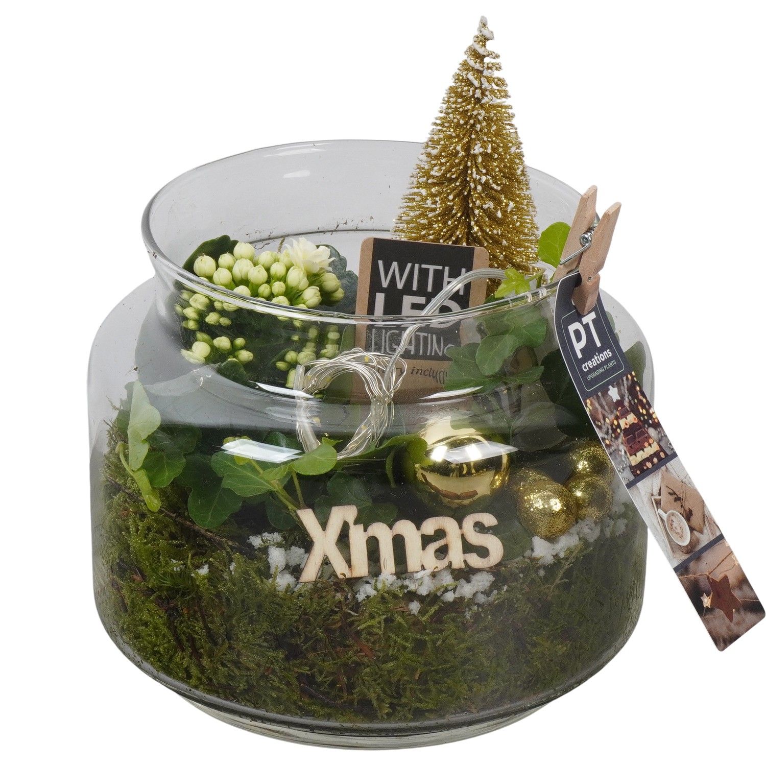 PTCHG5740 Arrangement Christmas Gold in glazen pot, D 16 cm