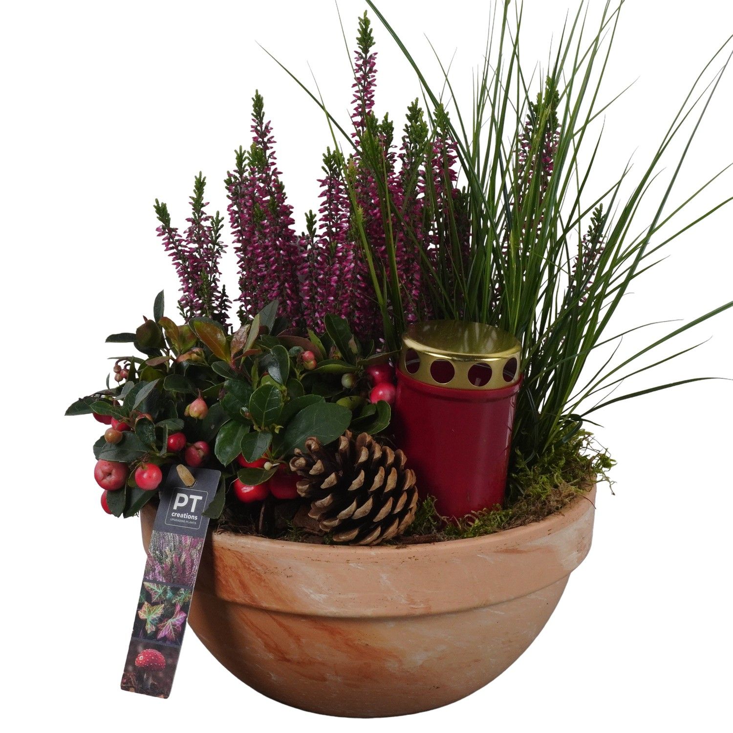 PTAH8634 Arrangement Allerheiligen in terracotta schaal, D 23 cm PTAH8634 Arrangement Allerheiligen in terracotta schaal, D 23 cm