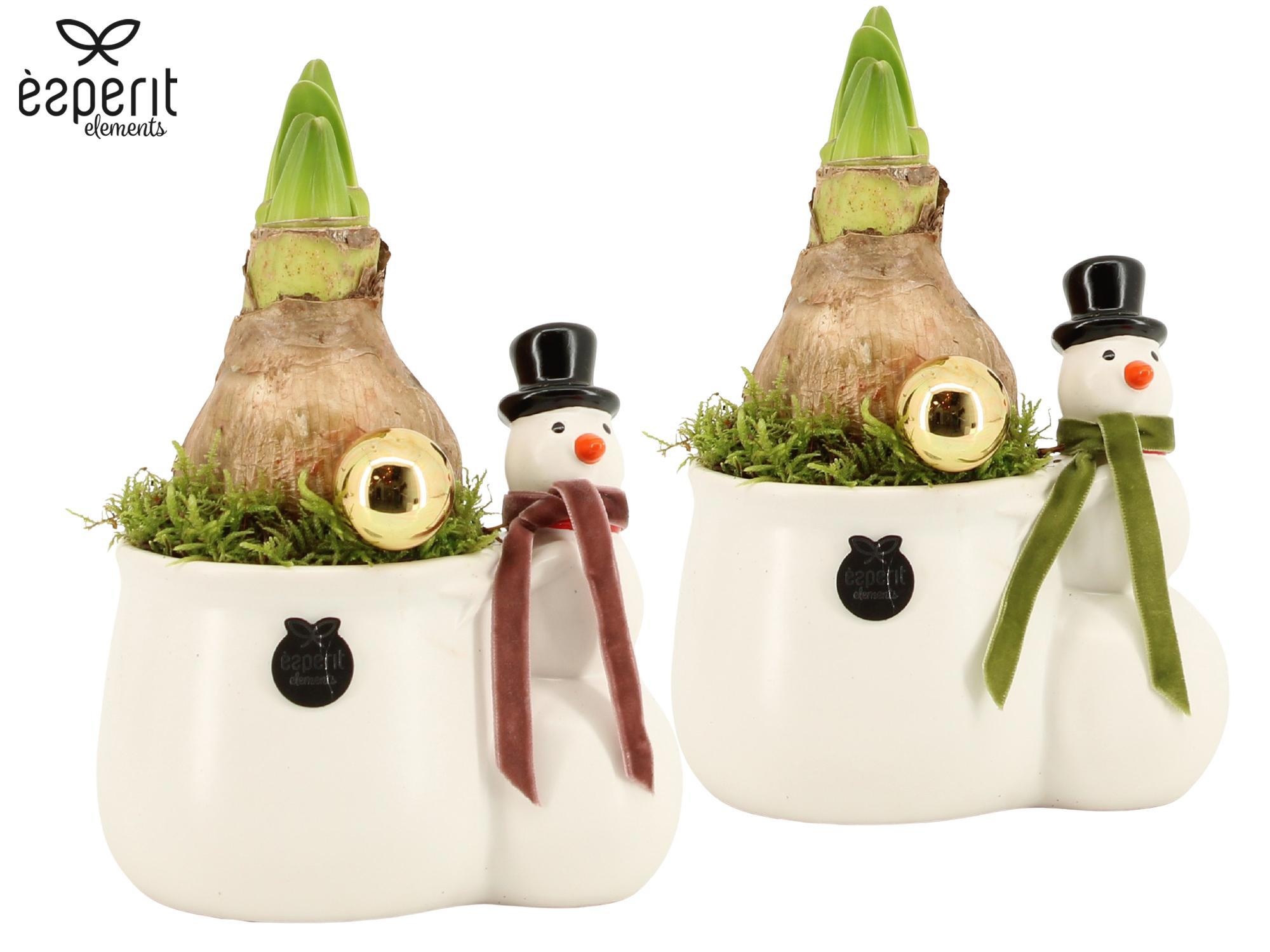 62042: X-mas arrangement, D 14