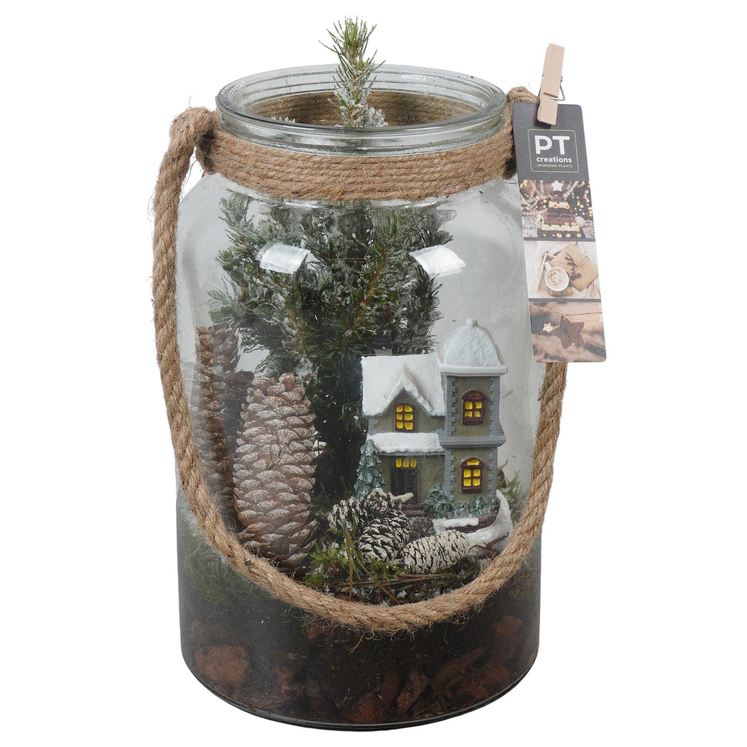 PTCWW6852 Arrangement Winter in glazen vaas, D 16 cm