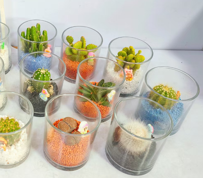 Кактус Гласс буббле 11 18