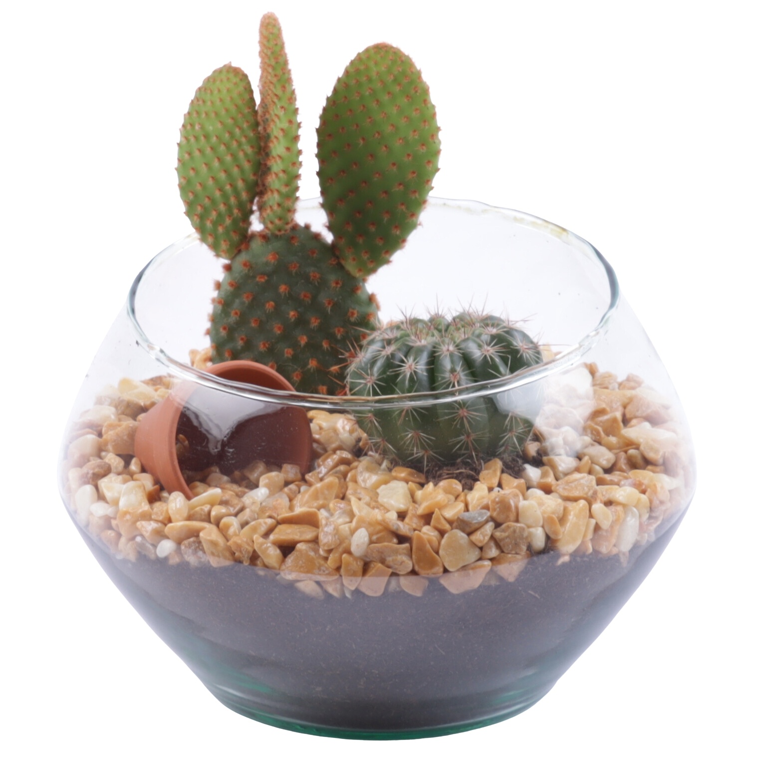 Yearround Arr. Cactus Glass Oblique UFO Vase Ø15cm 2PP, D 15