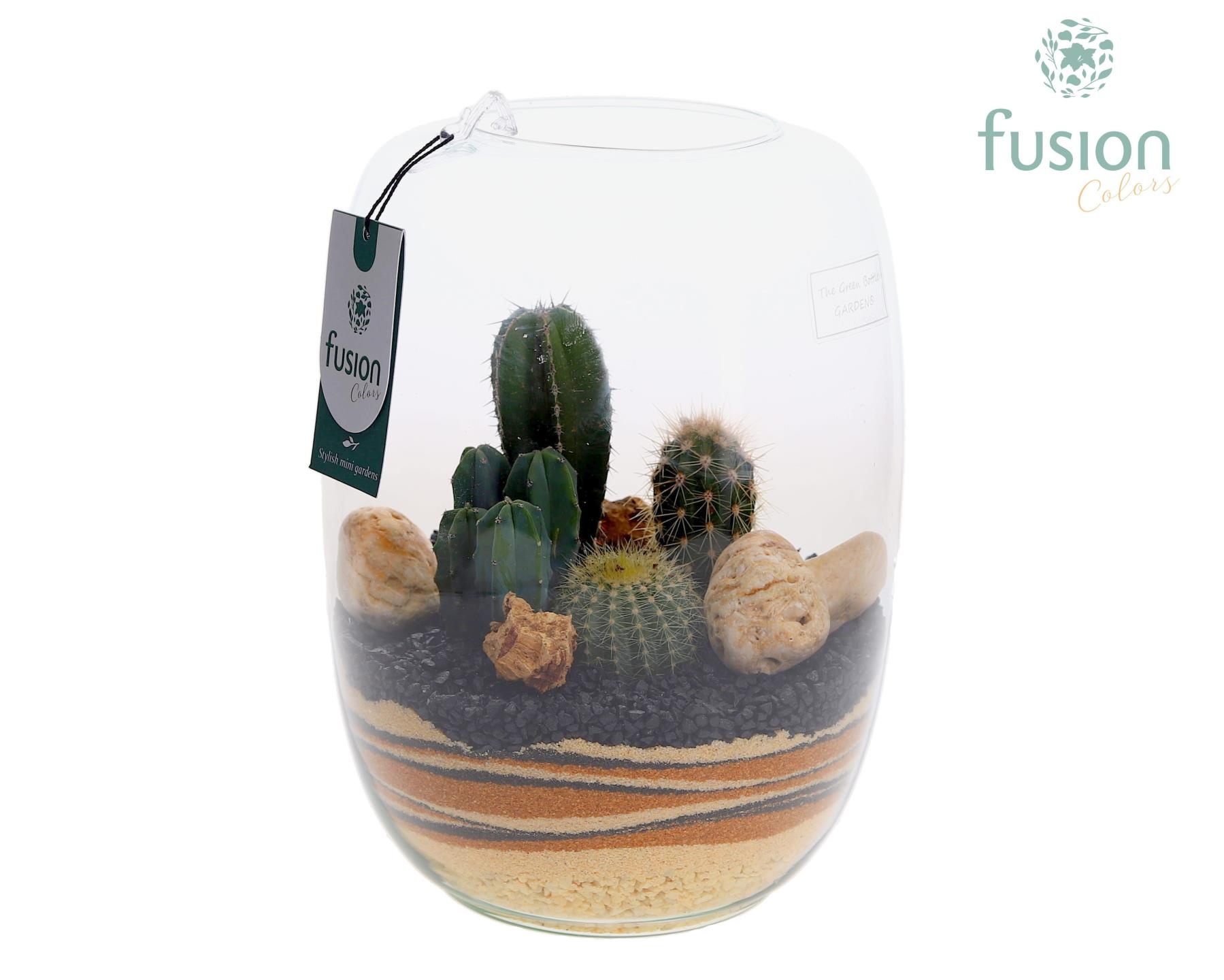 Green Bottle Isabella Large met zand arrangement, D 19