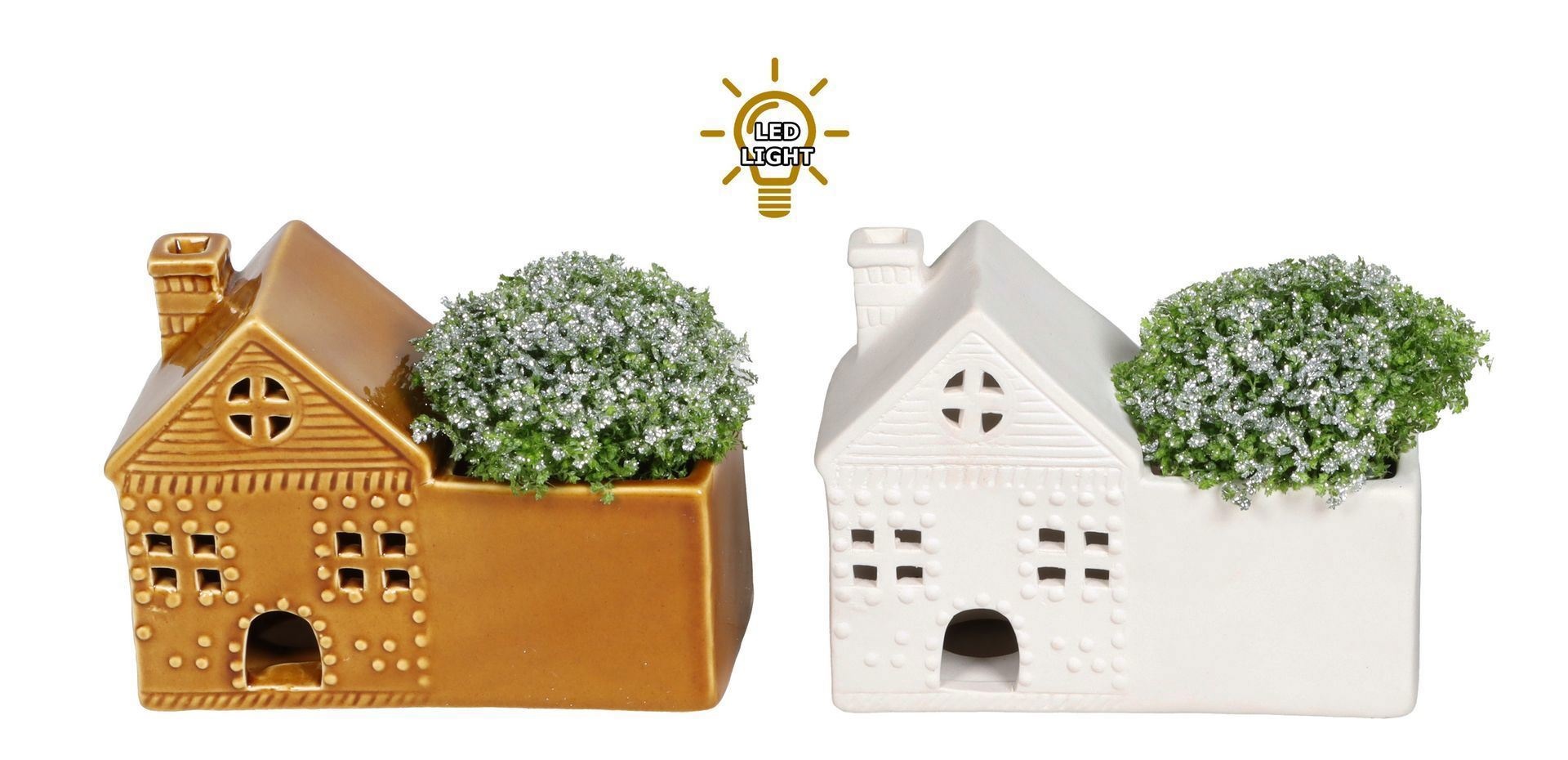 L 67464 With Selaginella Apoda Glitter 6 cm, D 6