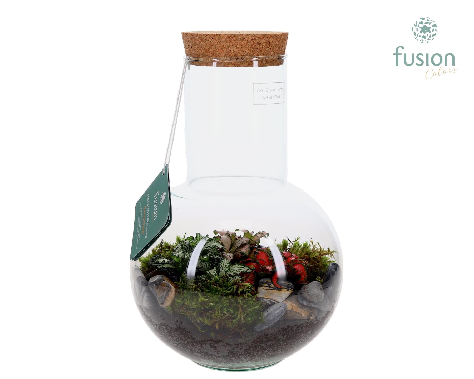Green Bottle Suzanne Medium met Terrarium arrangement, D 21