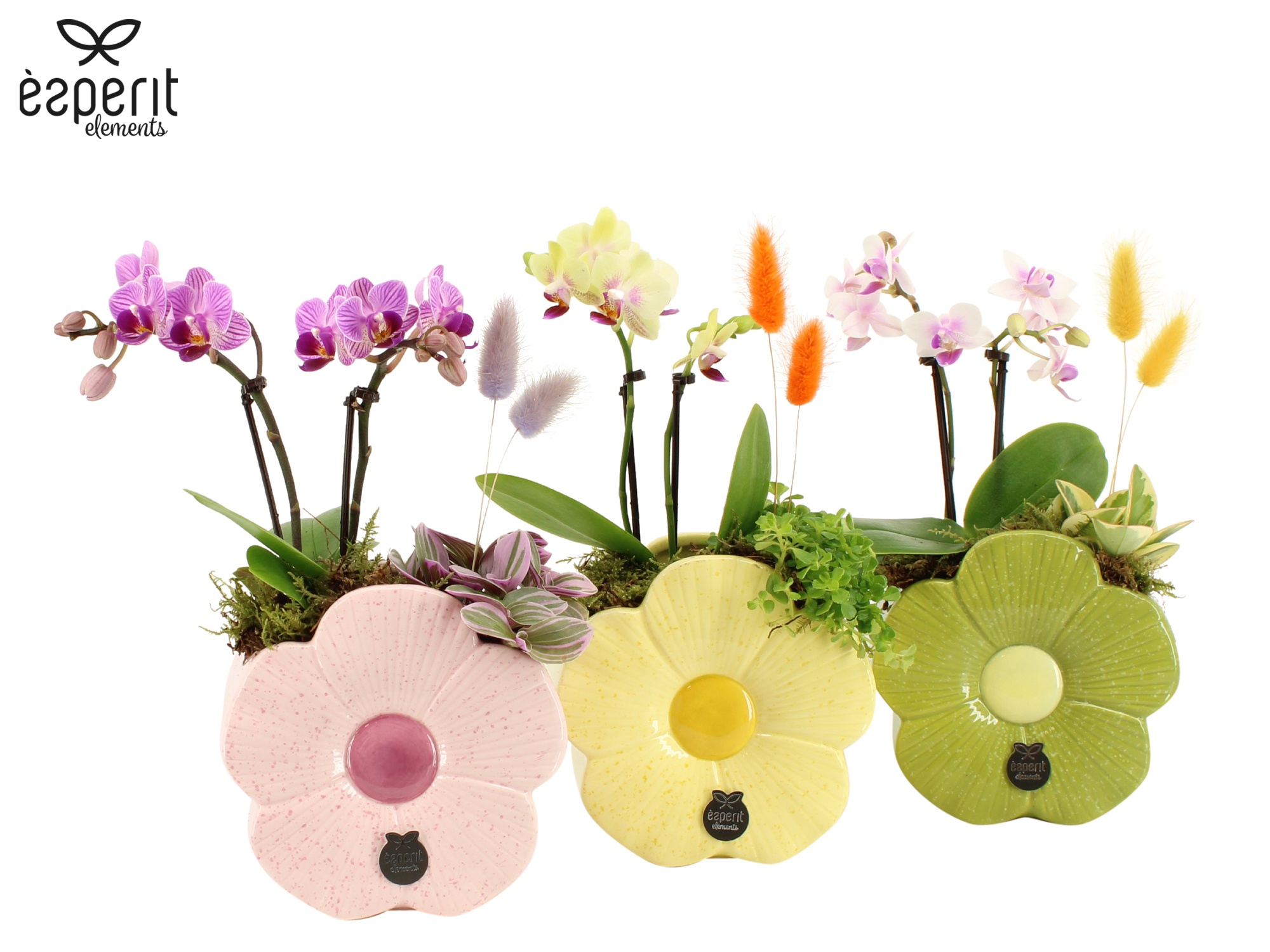 31800: Reinvention arrangement, D 14