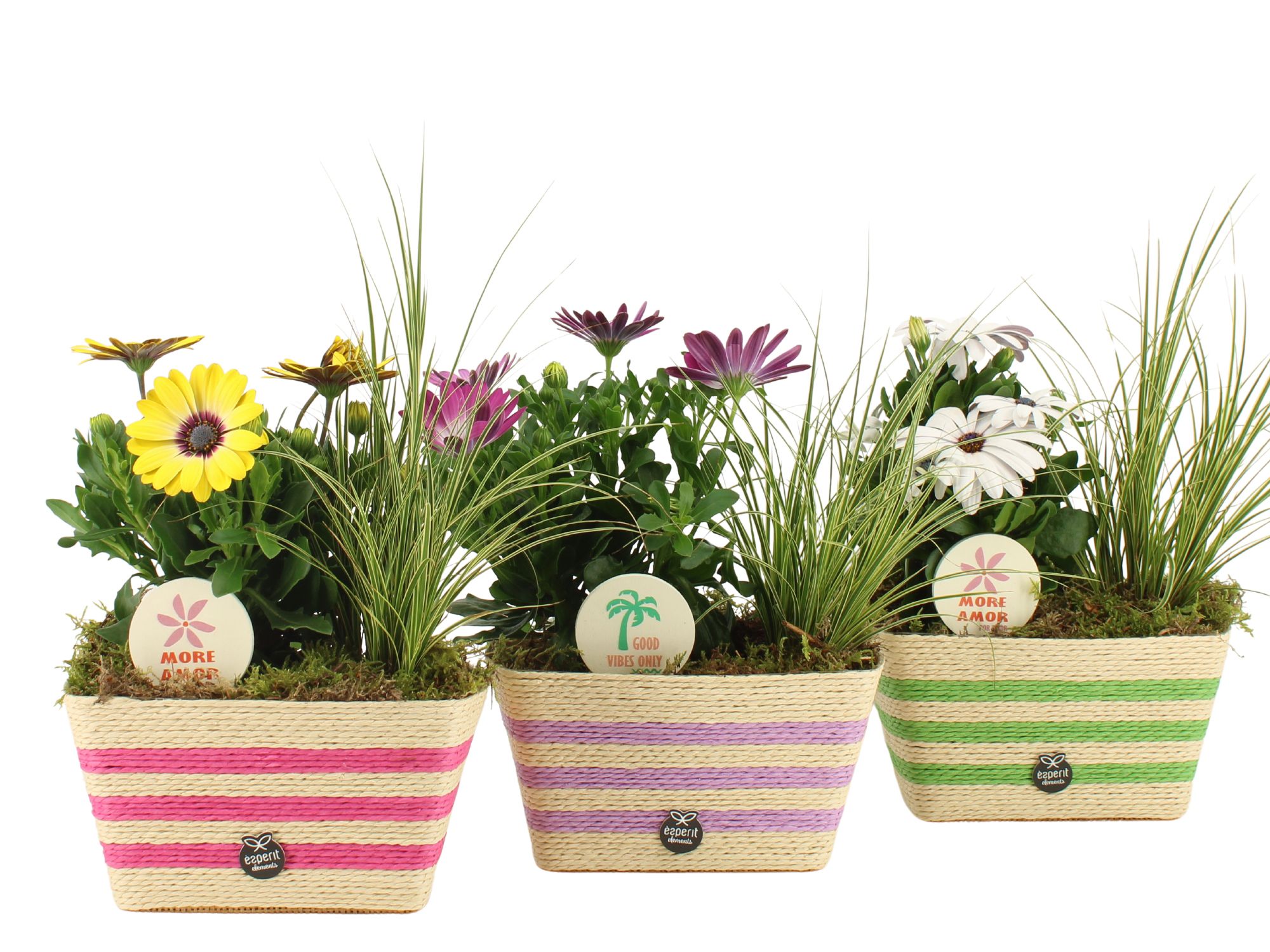 31599: Outdoor summer arrangement, D 17