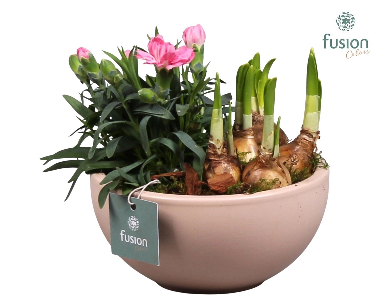 Schaal keramiek Moon Small blush pink Voorjaar met Arrangement, D 15