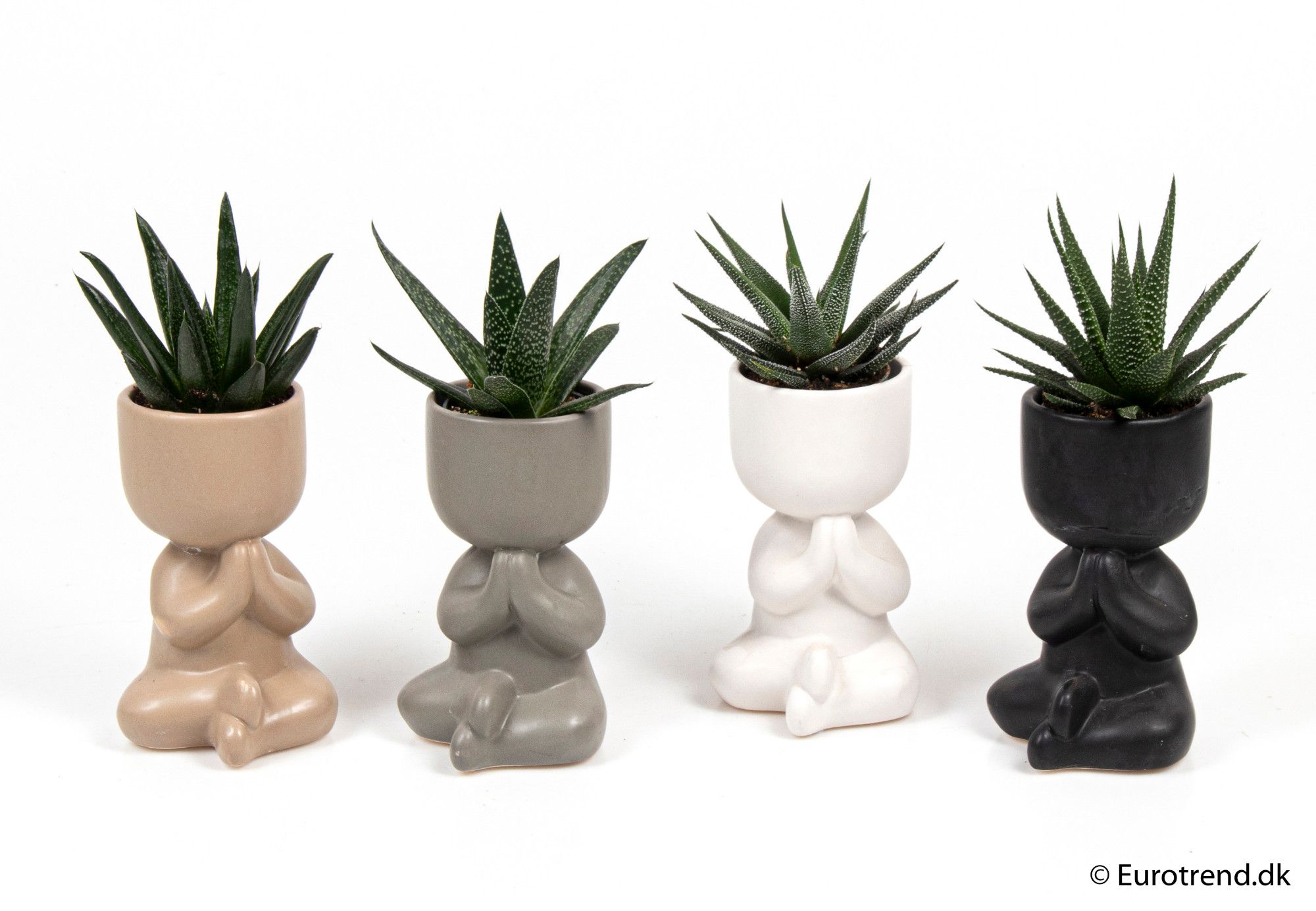 Succulent mix in prayer ceramic - New Look 2025, D 6