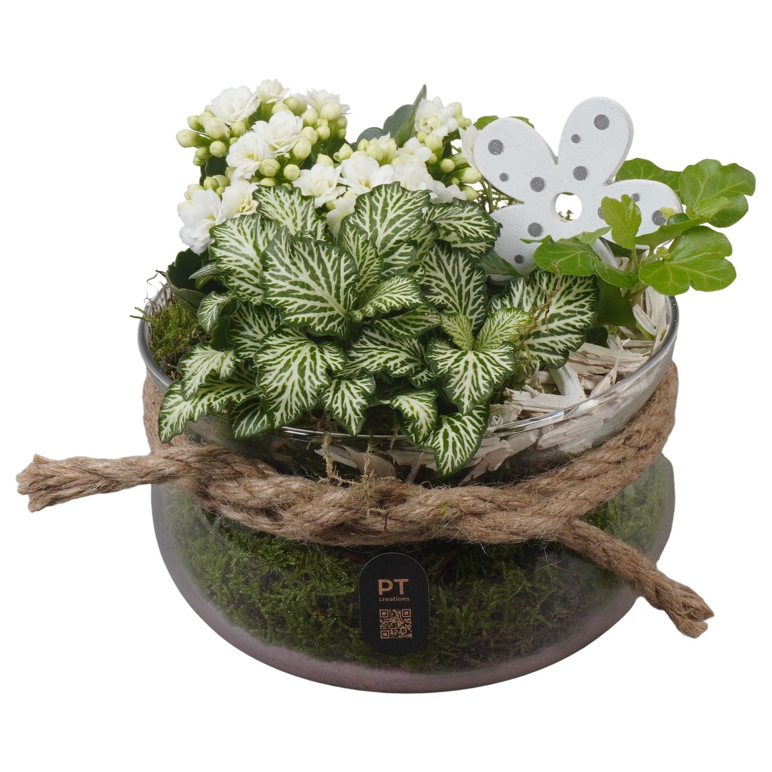 PTIG2625 Arrangement Indoor in glas schaal, D 16