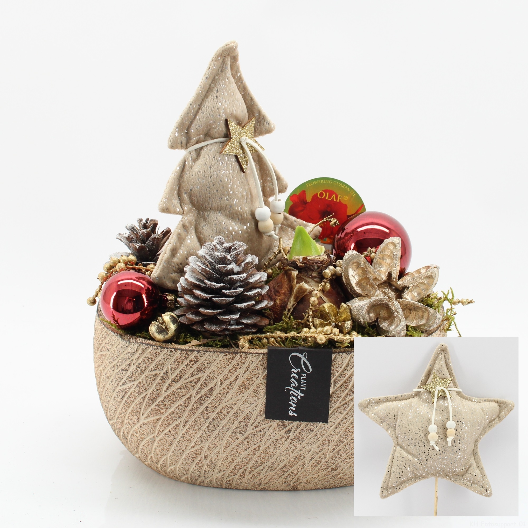 HICR-2519R Kerst Amaryllis, D 23 cm