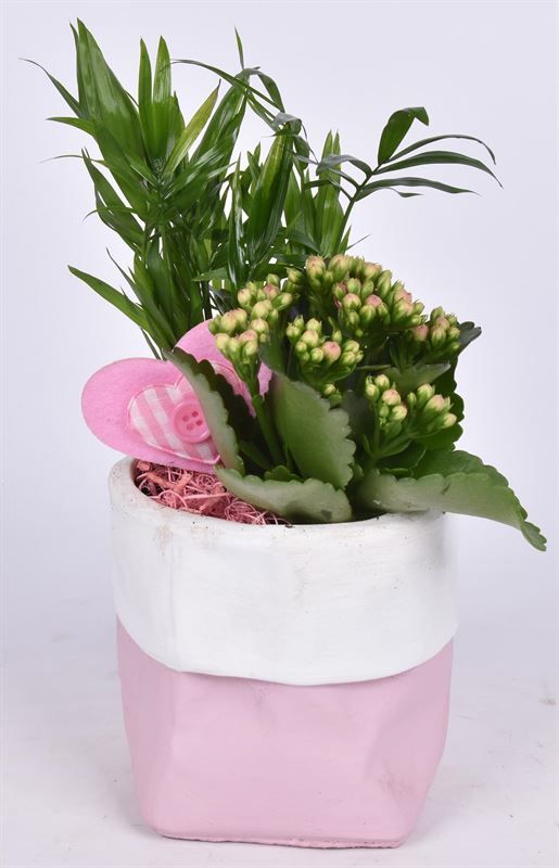 Cement pot roze met wit rand 11,5cm, D 12