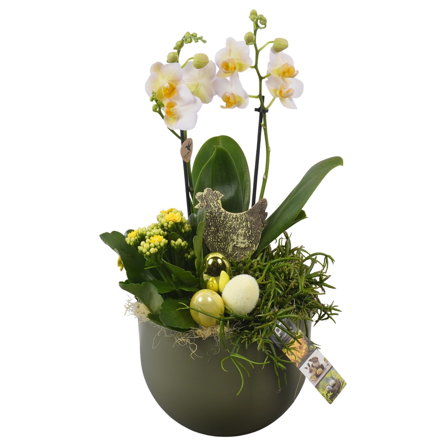 PTPB6518 Arrangement Easter in keramiek pot, D 19