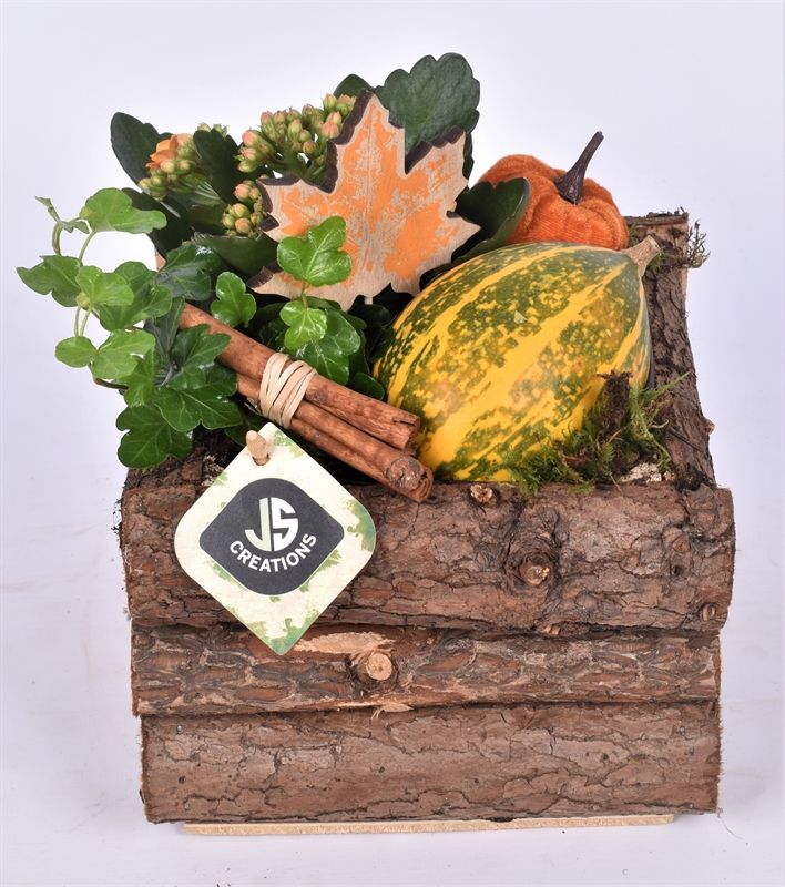 Hout boomschors vierk. 17x17cm, D 17 cm