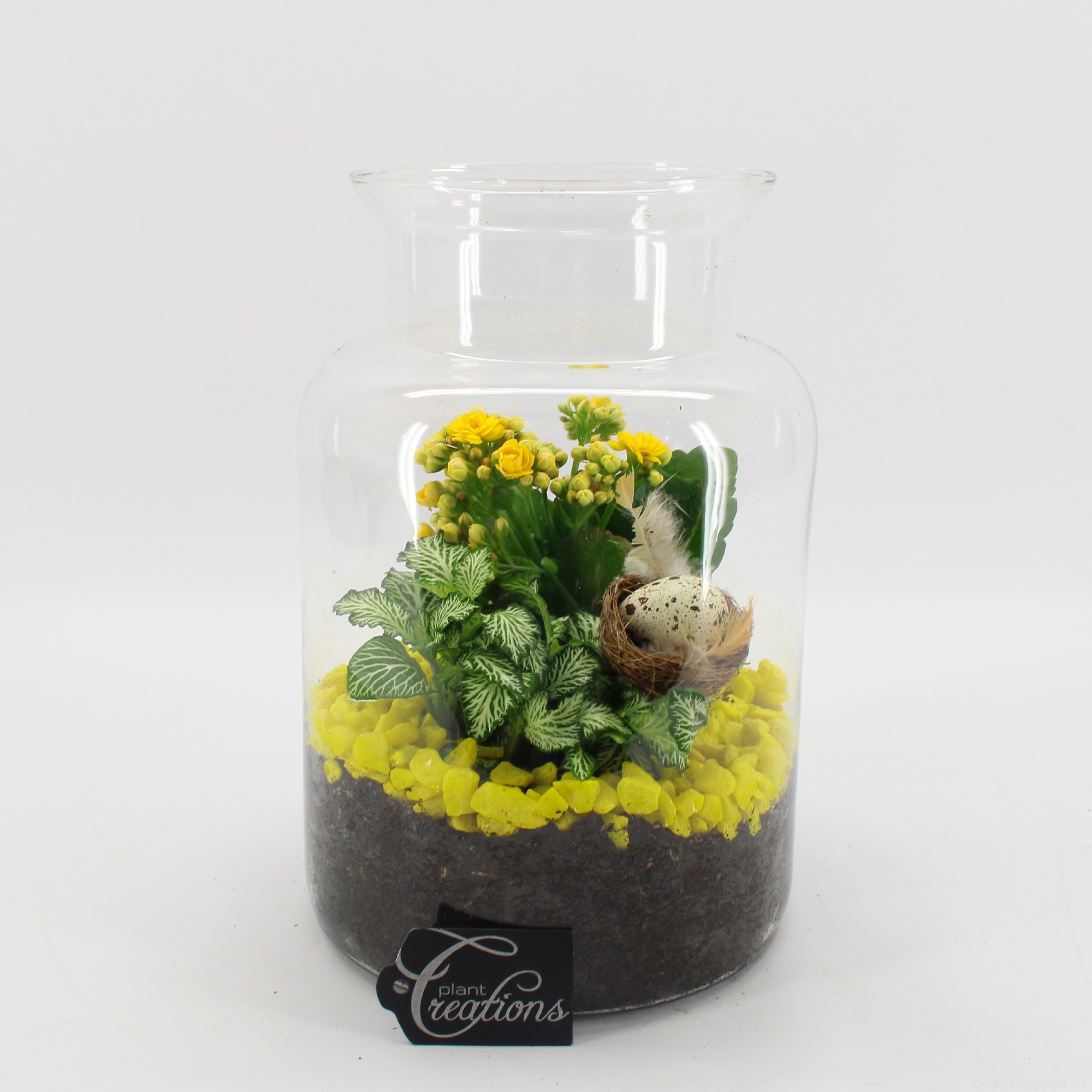 FDPS-2606 Easter Fundamentals, D 17