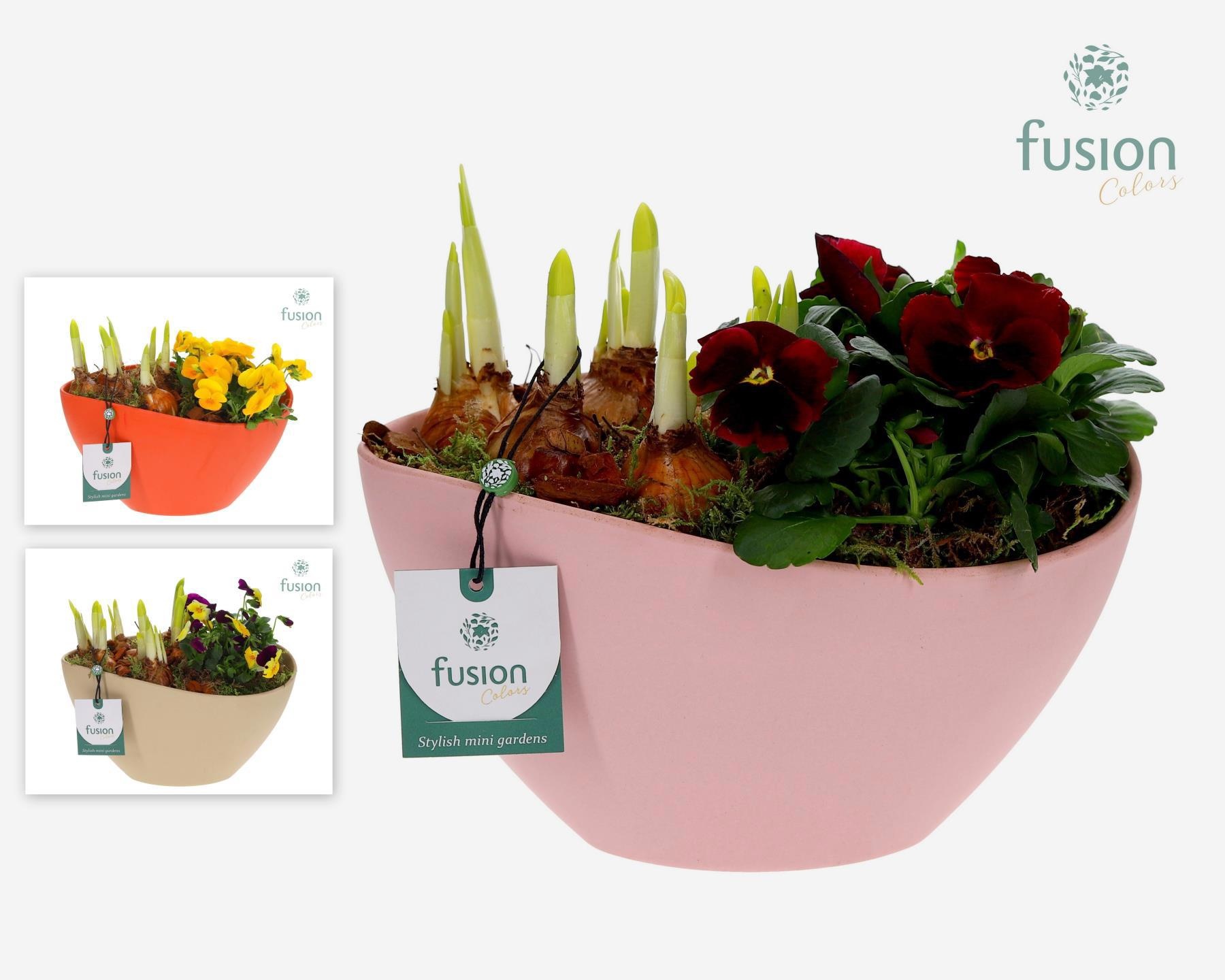 Biologisch afbreekbare ovaal schaal met arrangement, D 24