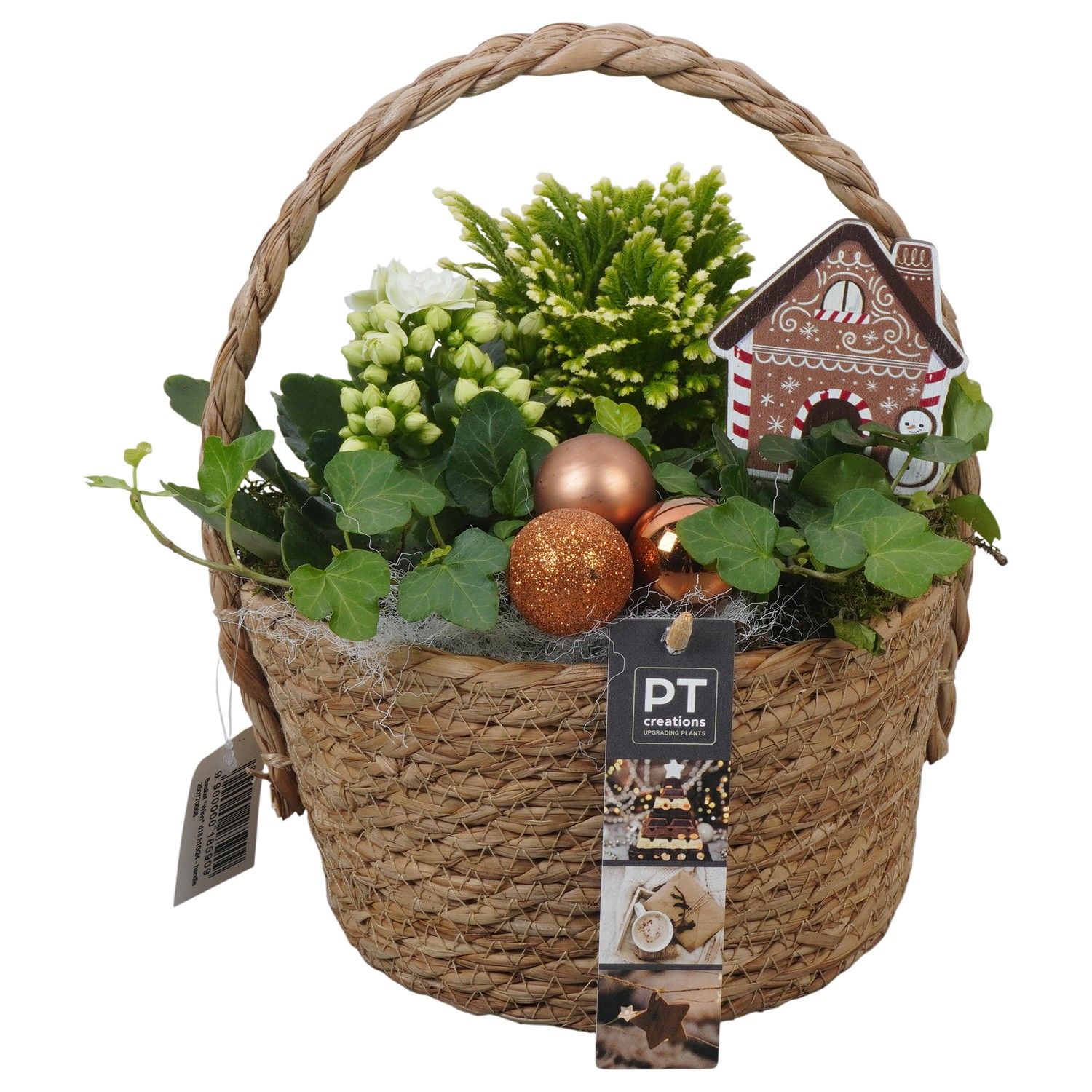 PTCHB9798 Arrangement Christmas Bronze in rieten mand, D 18 cm