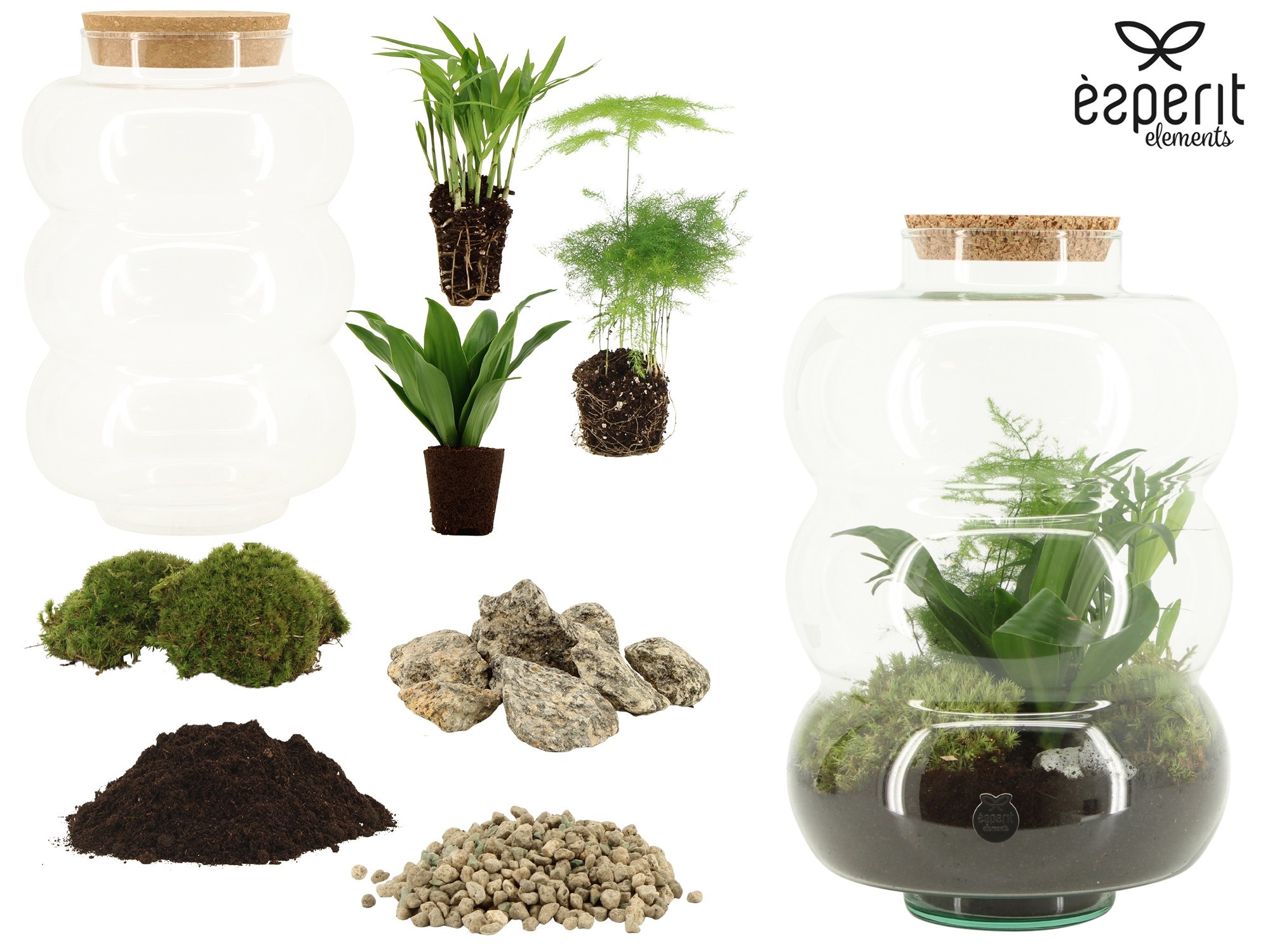 90860: DIY Terrarium arrangement, D 21 cm 90860: DIY Terrarium arrangement, D 21 cm