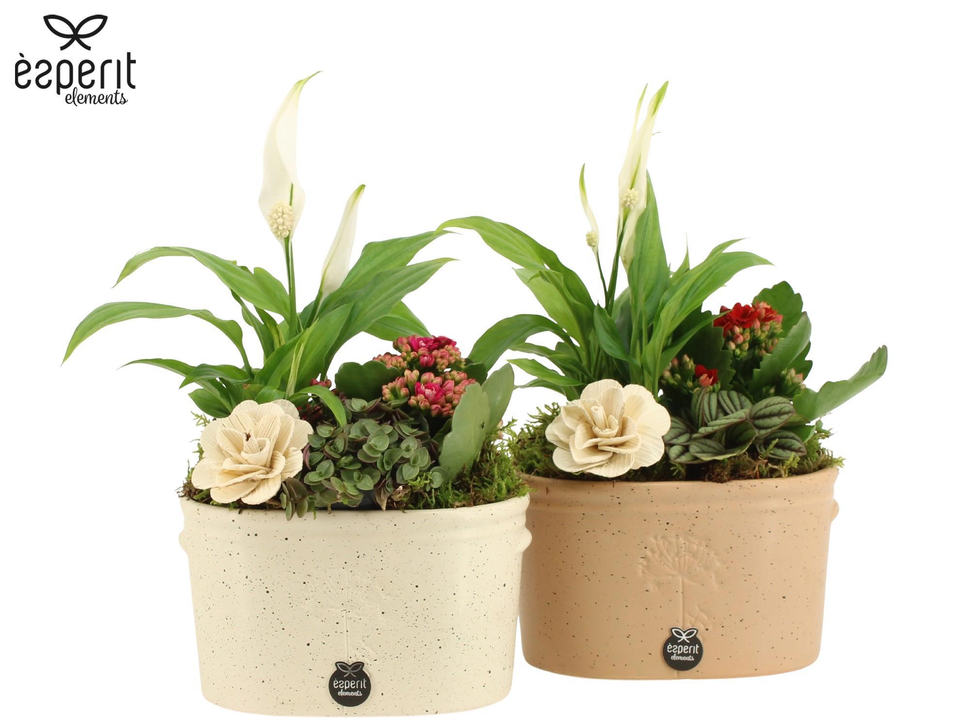 41841: Recreate arrangement, D 17