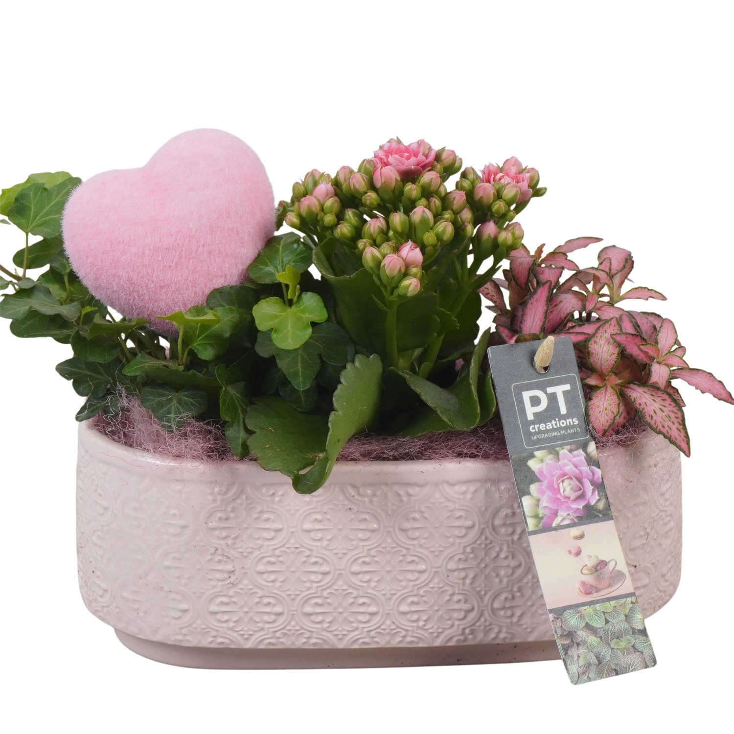 PTVMB2234 Arrangement Valentines-Mothersday in keramiek sierpot, D 21