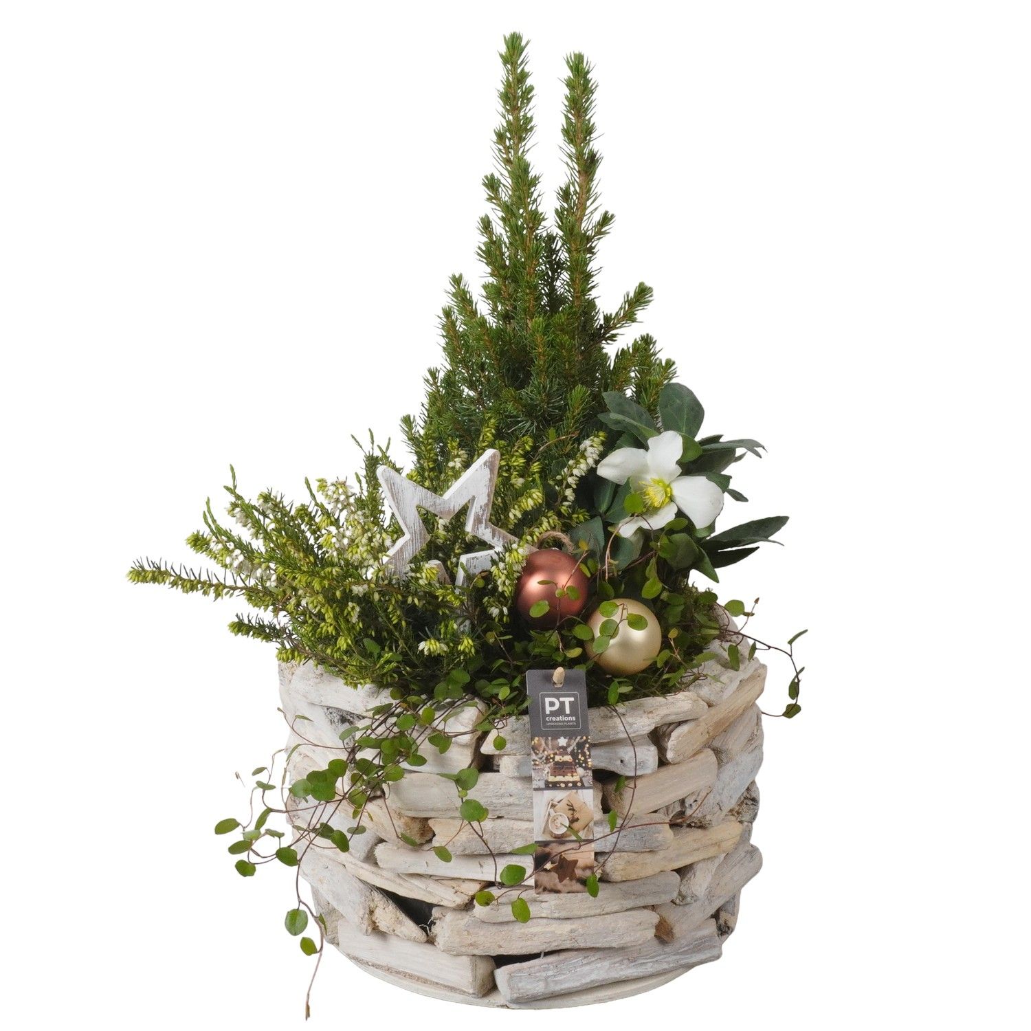 PTWO1914 Arrangement Winter Outdoor in houten bak, D 25 cm PTWO1914 Arrangement Winter Outdoor in houten bak, D 25 cm
